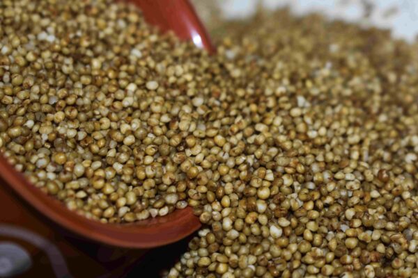 BROWNTOP MILLET (KORALE) 1 KG