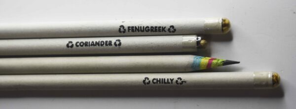 Seed Paper Pencil (Pack of 2)