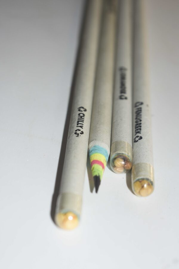 Seed Paper Pencil (Pack of 2)